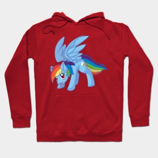 Rainbow Dash Hoodie